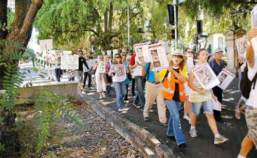 Marchers in Brisbane on Saturday protest against the treatment of Fraser Island dingoes. Marchers in Brisbane on Saturday protest against the treatment of Fraser Island dingoes.